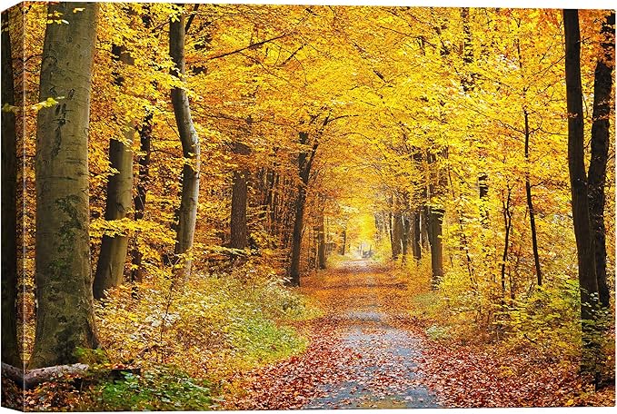 SIGNWIN-Canvas Wall Art-Sunshine in The Forest -Canvas Prints Home Artwork Decoration for Living Room,Bedroom - 12x18 inches