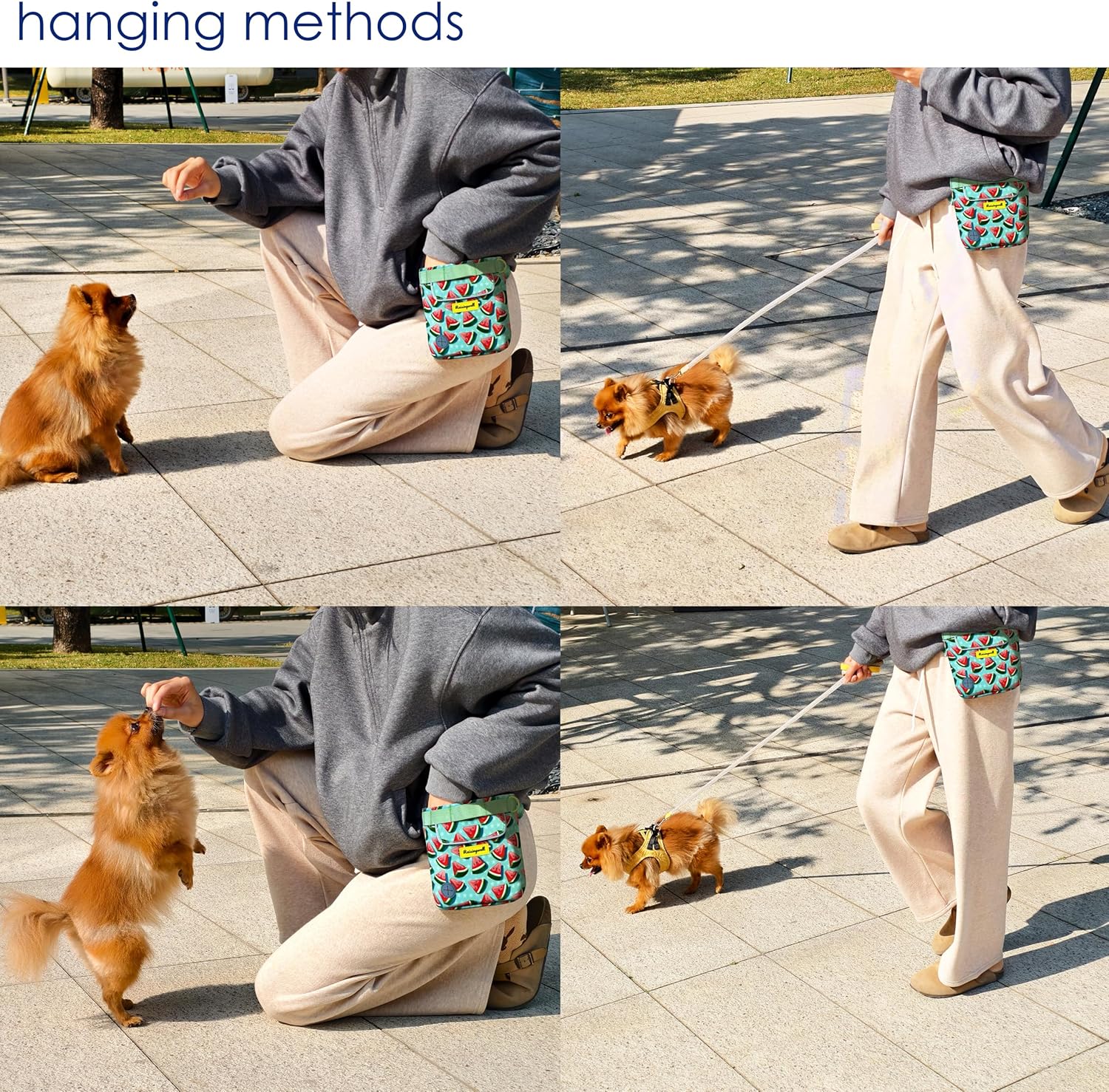 Dog Treat Pouch for Pet Walking and Training with Clicker 2 Cup Silicone Bag Small Fanny Pack Holder for Puppy Snack Dispenser Kit for Leash and Outdoor Use (Watermelon)