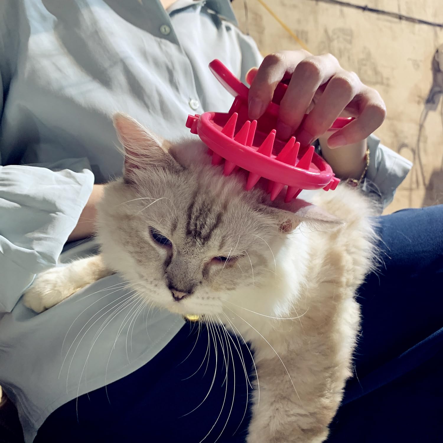 Cat Brush Shedding Grooming, Soft Massage Cat Tongue Brush, Licking Your Cat Like a Mama Cat to Comfort, Surprise Pet Gifts